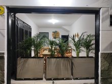 Restaurante Palma Verde