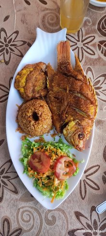 Restaurante y comidas rapidas la fusión del sabor