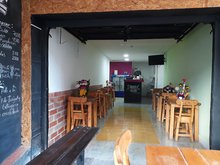 Rucula
