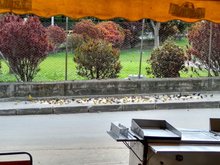 Salsamentaría El Cerrito