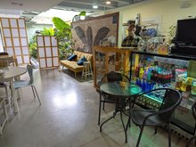 Selva Café & Arte