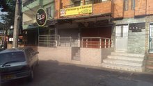 Super perros y perras