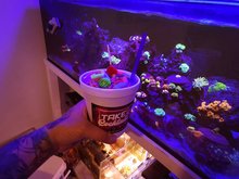 TAKE COCKTAILS