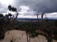 Típicos y Asados Bango