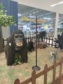 Toka by The Chicharron's Factory