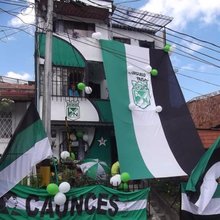Verde Licor