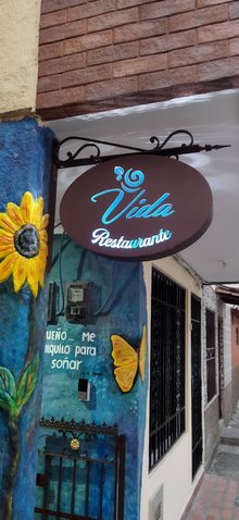 Vida