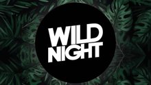 Wild Night Itagüi